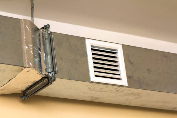 Best Affordable Air Duct Cleaning  in Zapata, TX